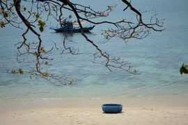 Belleza salvaje de la isla de Son Cha en Da Nang con gran potencial para el ecoturismo