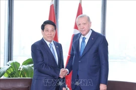 El presidente de Vietnam, Luong Cuong, sostuvo un encuentro con su homólogo turco, Recep Tayyip Erdoğan. (Fuente: VNA)