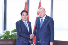 El presidente de Vietnam, Luong Cuong, sostuvo un encuentro con su homólogo turco, Recep Tayyip Erdoğan. (Fuente: VNA)