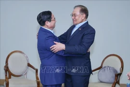 El primer ministro de Vietnam, Pham Minh Chinh, sostiene un encuentro con su homólogo malasio, Anwar Ibrahim, durante su participación en la Cumbre Ampliada de los BRICS en Río de Janeiro, Brasil. (Fuente: VNA)