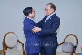El primer ministro de Vietnam, Pham Minh Chinh, sostiene un encuentro con su homólogo malasio, Anwar Ibrahim, durante su participación en la Cumbre Ampliada de los BRICS en Río de Janeiro, Brasil. (Fuente: VNA)