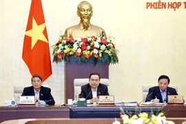 El presidente de la Asamblea Nacional de Vietnam, Tran Thanh Man, habla en la reunión. (Fuente: VNA)