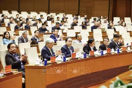 El presidente de la Asamblea Nacional, Tran Thanh Man, asiste a una reunión para informar sobre los resultados del XIV Congreso Nacional del Partido Comunista. (Foto: VNA)