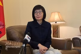 La embajadora Ton Thi Ngoc Huong, jefa de la misión vietnamita ante la ASEAN, responde a la entrevista de la VNA. (Foto: VNA)