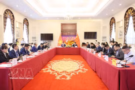 En la reunión. (Foto: VNA)