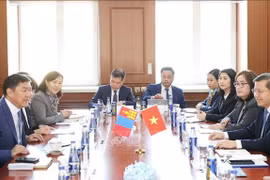 La delegación de alto nivel del Tribunal Supremo Popular de Vietnam sostiene conversaciones con la delegación del Tribunal Supremo de Mongolia. (Fuente: VNA)