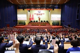Los delegados votan por aprobar la Resolución del XIV Congreso del Partido Comunista de Vietnam. (Foto: VNA)
