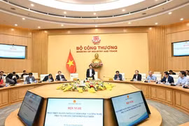 El ministro de Industria y Comercio de Vietnam, Nguyen Hong Dien, habla en la reunión. (Fuente: VNA)