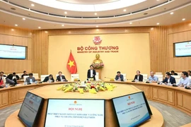 El ministro de Industria y Comercio de Vietnam, Nguyen Hong Dien, habla en la reunión. (Fuente: VNA)