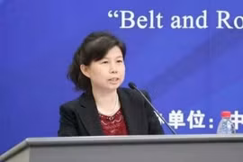 Liu An, investigadora del Instituto de Estudios Financieros de Chongyang. (Foto: VNA)