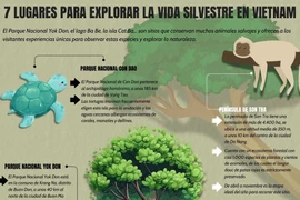 Siete lugares para explorar la vida silvestre en Vietnam