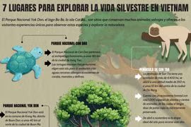 Siete lugares para explorar la vida silvestre en Vietnam