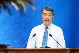 El primer ministro de Vietnam, Le Minh Hung. (Foto: VNA)