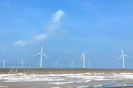 La provincia de Vinh Long ha puesto en funcionamiento 13 parques eólicos con una capacidad total de 572 MW. Foto: VNA