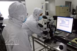 Investigación científica en el Centro de I+D del Parque de Alta Tecnología de Ciudad Ho Chi Minh. (Foto: VNA)