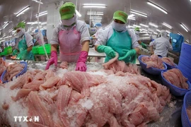 Foto de ilustración. (Foto: VNA)