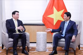 El presidente de Vietnam, Luong Cuong, sostuvo un encuentro con Taewon Chey, presidente del conglomerado SK Group y de la Cámara de Comercio e Industria de Corea del Sur. (Foto: VNA)