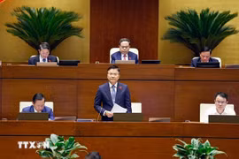 El viceprimer ministro de Vietnam Le Thanh Long rinde cuentas ante la Asamblea Nacional. (Foto: VNA)