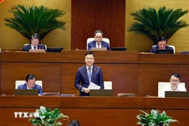 El viceprimer ministro de Vietnam Le Thanh Long rinde cuentas ante la Asamblea Nacional. (Foto: VNA)