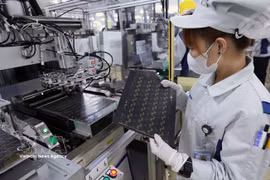 Las placas de circuitos impresos para dispositivos electrónicos se fabrican en la fábrica de Mektec Vietnam (100% de capital japonés) en el Parque Industrial Thang Long II, barrio de My Hao, provincia de Hung Yen. Foto: VNA