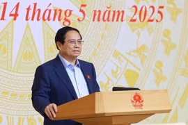 El primer ministro de Vietnam, Pham Minh Chính, habla en la reunión. (Fuente: VNA)