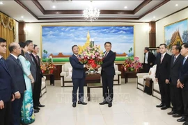 El embajador de Vietnam en Laos, Nguyen Minh Tam, entrega una canasta de flores del secretario general del Partido Comunista de Vietnam, To Lam, felicitando el 70º aniversario de la fundación del Partido Revolucionario Popular Lao. (Fuente: VNA)