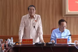 El vicepresidente de la Asamblea Nacional de Vietnam, Nguyen Duc Hai. (Foto: VNA)