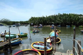 Coloridos barcos cesta transportan turistas a visitar el bosque de cocoteros de Da Nang. (Foto: VNA)