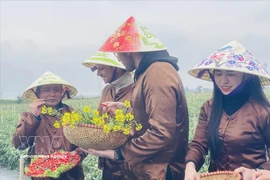 Embajadores de turismo verde del programa de experiencias de turismo agrícola. Foto: VNA