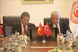 El vicepresidente de la Asamblea Nacional de Vietnam, Nguyen Duc Hai, sostiene una reunión de trabajo con su homólogo turco, Celal Adan. (Foto: VNA)