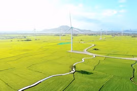 El campo de energía eólica en Dam Nai, Ninh Thuan (ahora Khanh Hoa). Foto: VNA