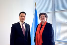 La secretaria general adjunta de Asuntos Jurídicos de las Naciones Unidas, Elinor Hammarskjöld, y el embajador Dang Hoang Giang, jefe de misión permanente de Vietnam ante la ONU. (Fuente: VNA)