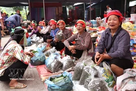 Mercado semanal único de minorías éticas en provincia de Tuyen Quang 