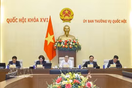 El presidente de la Asamblea Nacional de Vietnam, Tran Thanh Man, habla en la reunión. (Foto: VNA)
