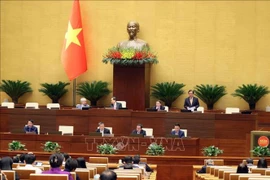 El vicepresidente de la Asamblea Nacional de Vietnam Le Minh Hoan preside la reunión. (Foto: VNA)