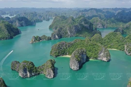 La Bahía de Ha Long. (Foto: VNA)
