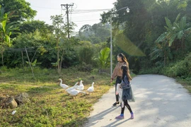 Experimente la "vida tranquila" en la cima de la región occidental 