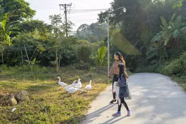Experimente la "vida tranquila" en la cima de la región occidental 