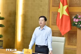 El viceprimer ministro de Vietnam Mai Van Chinh. (Fuente: VNA)