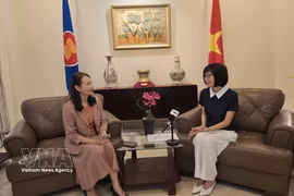 La embajadora Ton Thi Ngoc Huong, jefa de la misión permanente de Vietnam ante la ASEAN. (Foto: VNA)