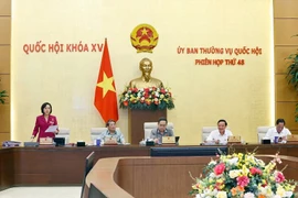 El Comité Permanente de la Asamblea Nacional de Vietnam discute la Ley de Actividades de Supervisión de la Asamblea Nacional y los Consejos Populares. (Fuente: VNA)