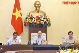 El presidente de la Asamblea Nacional de Vietnam, Tran Thanh Man, habla en la reunión. (Fuente: VNA)