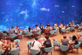 Los turistas experimentan el Palacio del Océano en el norte de la isla de Phu Quoc (Kien Giang). (Foto: VNA)