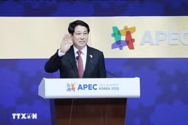 El presidente de Vietnam, Luong Cuong. (Foto: VNA)