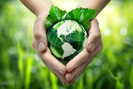 Foto de ilustración. (Fuente: https://scp.gov.vn/)