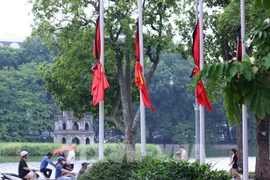 Foto de ilustración. (Foto: VNA)