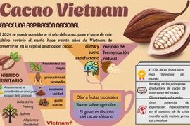 Cacao Vietnam: Renace una aspiración nacional