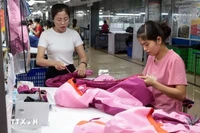 Prendas de vestir para exportación al mercado europeo de la empresa TNG, provincia de Thai Nguyen (Foto: VNA)