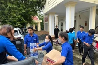 Comunidad internacional dona casi 16 millones de dólares para la recuperación de Vietnam tras desastres naturales