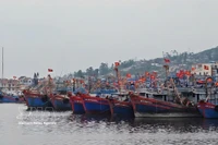 Una vista del puerto pesquero de Lach Bang, Thanh Hoa. (Foto: VNA)